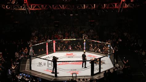 betway ufc|mma sportsbook.